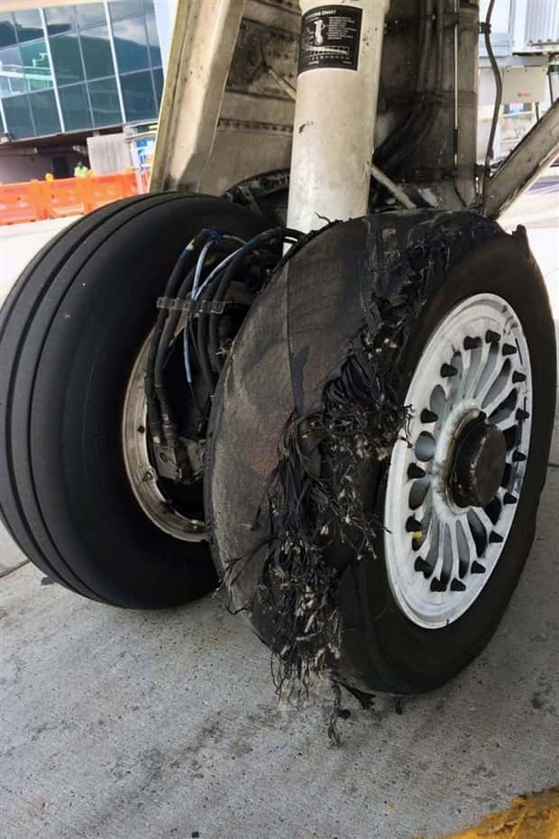 Shit Happens Regularly, Get Used To It #382 (19 photos)