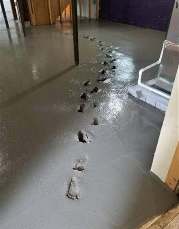 Shit Happens Regularly, Get Used To It #381 (23 photos)