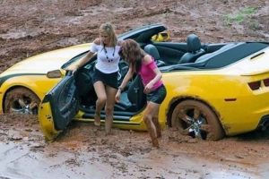 Shit Happens Regularly, Get Used To It #380 (21 photos)