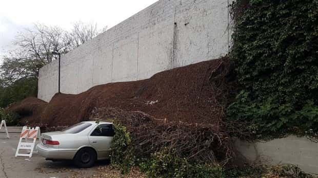 Shit Happens Regularly, Get Used To It #380 (21 photos)