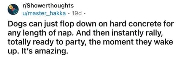 Funny Shower Thoughts That Sound Smart #205 (20 photos)