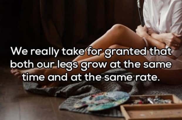 Funny Shower Thoughts That Sound Smart #205 (20 photos)