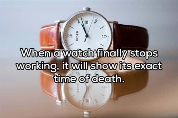 Funny Shower Thoughts That Sound Smart #205 (20 photos)