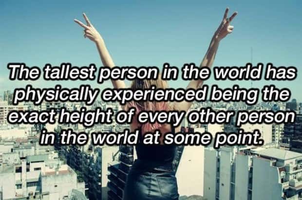 Funny Shower Thoughts That Sound Smart #207 (22 photos)