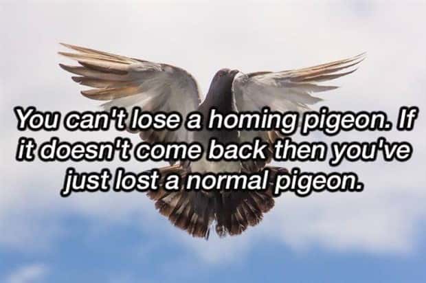 Funny Shower Thoughts That Sound Smart #207 (22 photos)