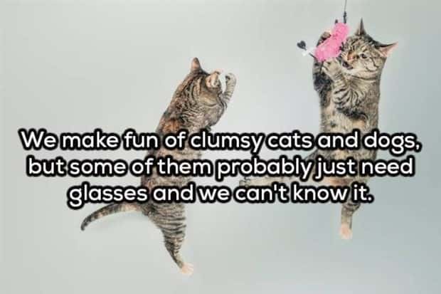 Funny Shower Thoughts That Sound Smart #205 (20 photos)