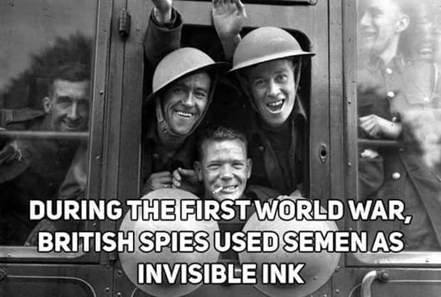 uk facts 1 Curious British Facts Worth Knowing Today (18 photos)
