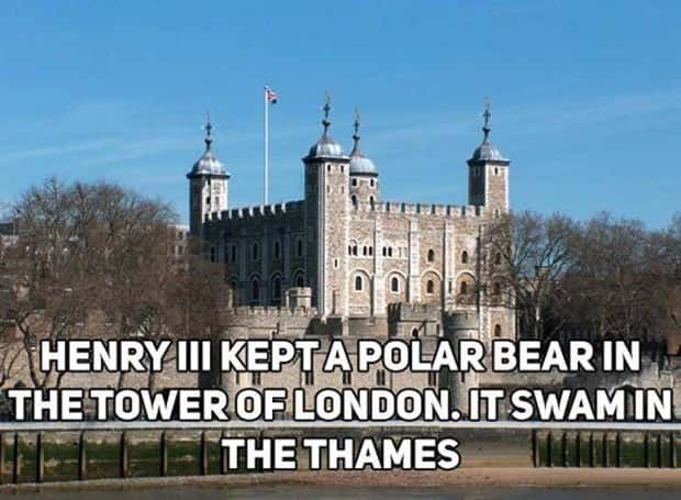 uk facts 18 Curious British Facts Worth Knowing Today (18 photos)