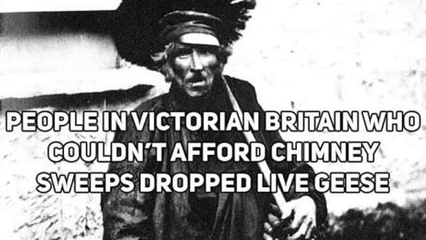 uk facts 9 Curious British Facts Worth Knowing Today (18 photos)
