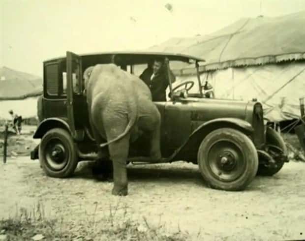 30 Vintage Photos Filled with Odd Humor