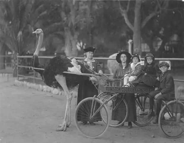 30 Vintage Photos Filled with Odd Humor