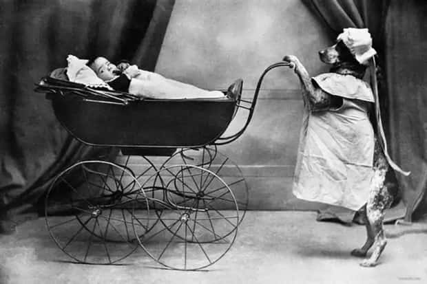 30 Vintage Photos Filled with Odd Humor