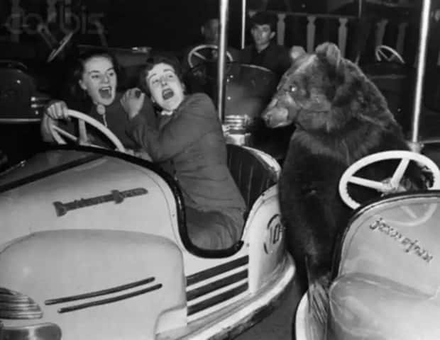 30 Vintage Photos Filled with Odd Humor