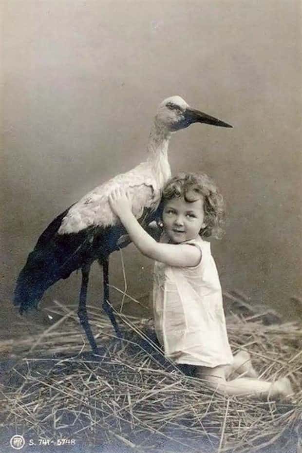 30 Vintage Photos Filled with Odd Humor