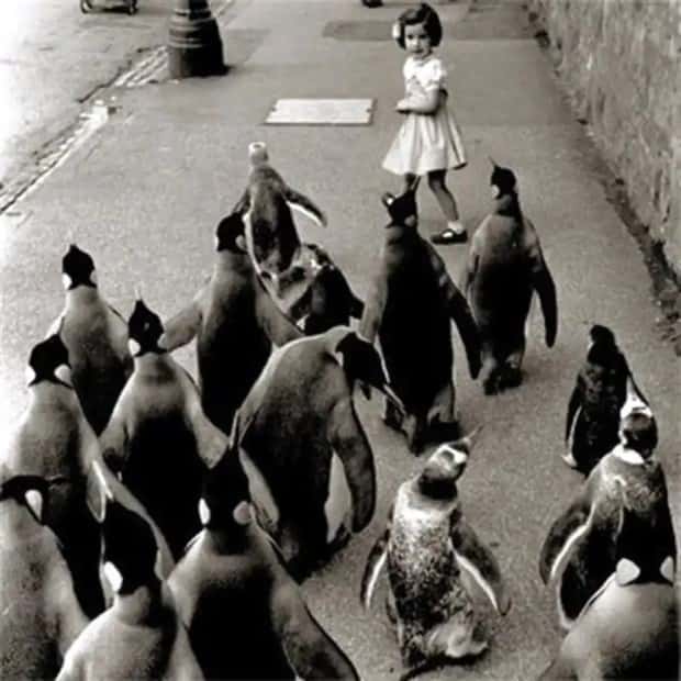 30 Vintage Photos Filled with Odd Humor