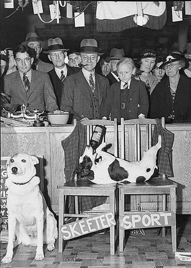 30 Vintage Photos Filled with Odd Humor