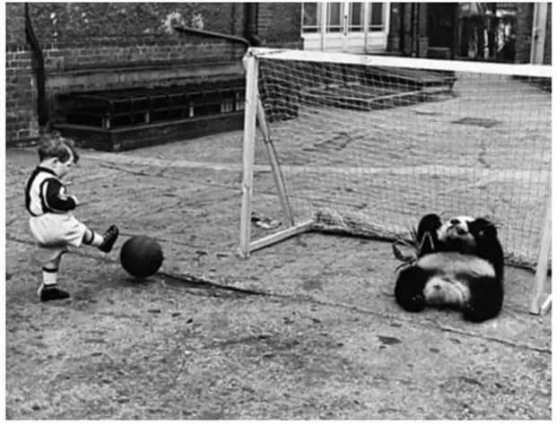 30 Vintage Photos Filled with Odd Humor