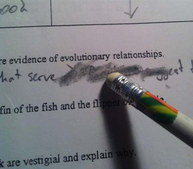 The Little Things That Make People Lose It (19 photos)