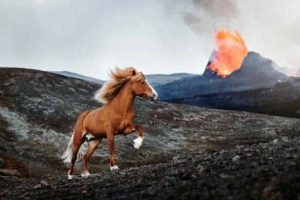 Awesome Pictures You Shouldn’t Miss #207 (20 photos)