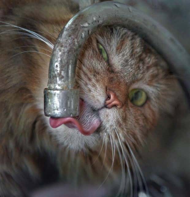 Awesome Pictures You Shouldn’t Miss #207 (20 photos)