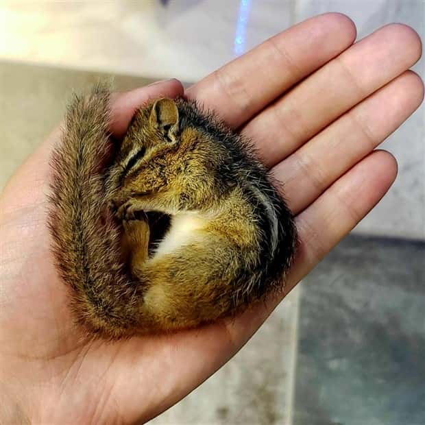 Awesome Pictures You Shouldn’t Miss #207 (20 photos)