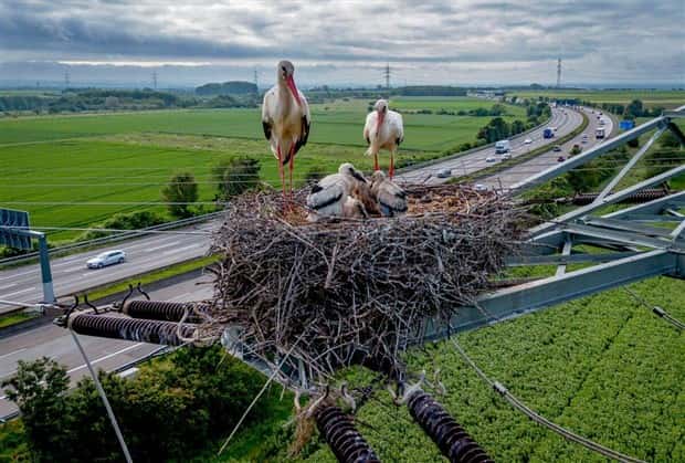 Awesome Pictures You Shouldn’t Miss #207 (20 photos)