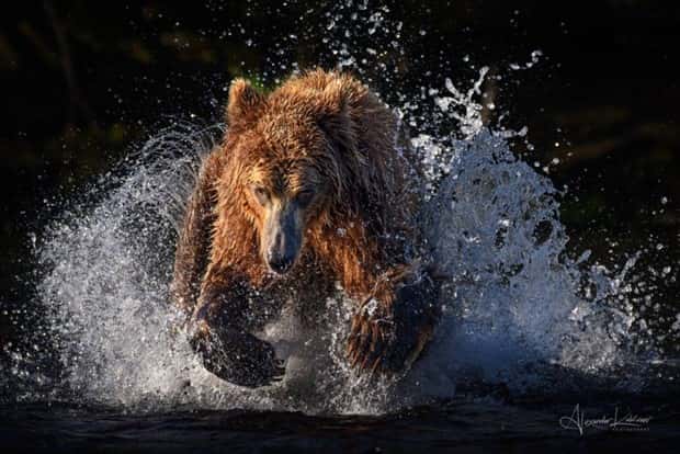 awesome pics 1 Awesome Pictures You Shouldn’t Miss #208 (18 photos)