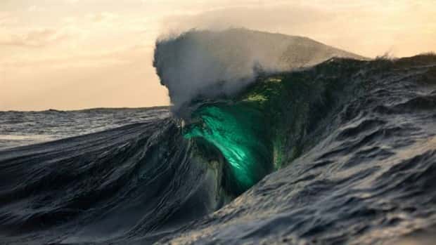 awesome pics 14 1 Awesome Pictures You Shouldn’t Miss #209 (21 photos)