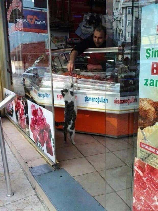 Awesome Pictures You Shouldn’t Miss #211 (23 photos)
