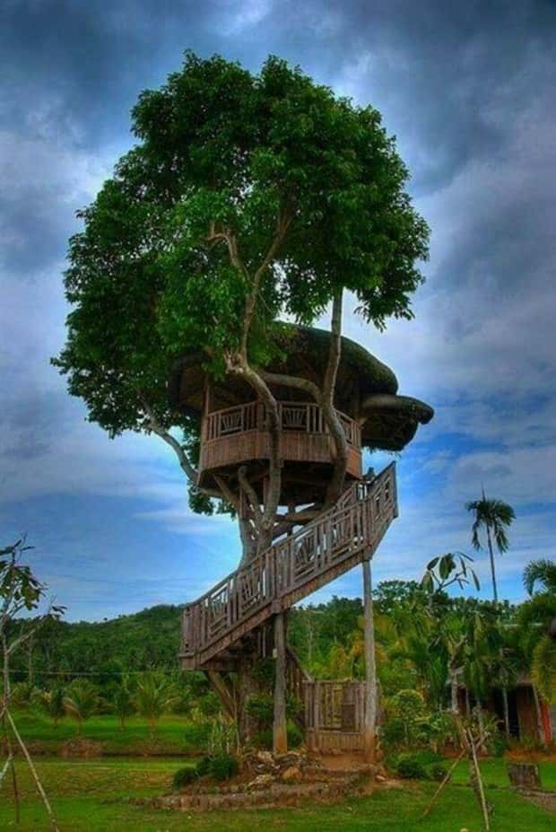awesome pics 3 1 Awesome Pictures You Shouldn’t Miss #209 (21 photos)