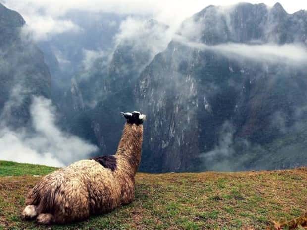 Awesome Pictures You Shouldn’t Miss #211 (23 photos)