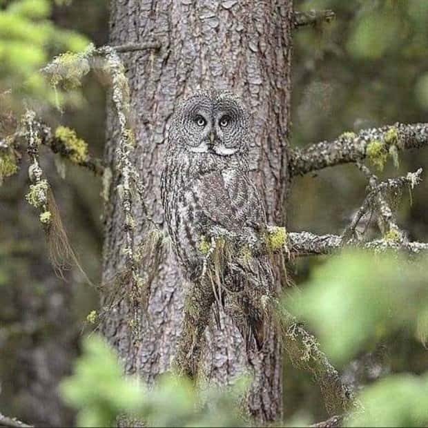 awesome pics 4 Awesome Pictures You Shouldn’t Miss #208 (18 photos)