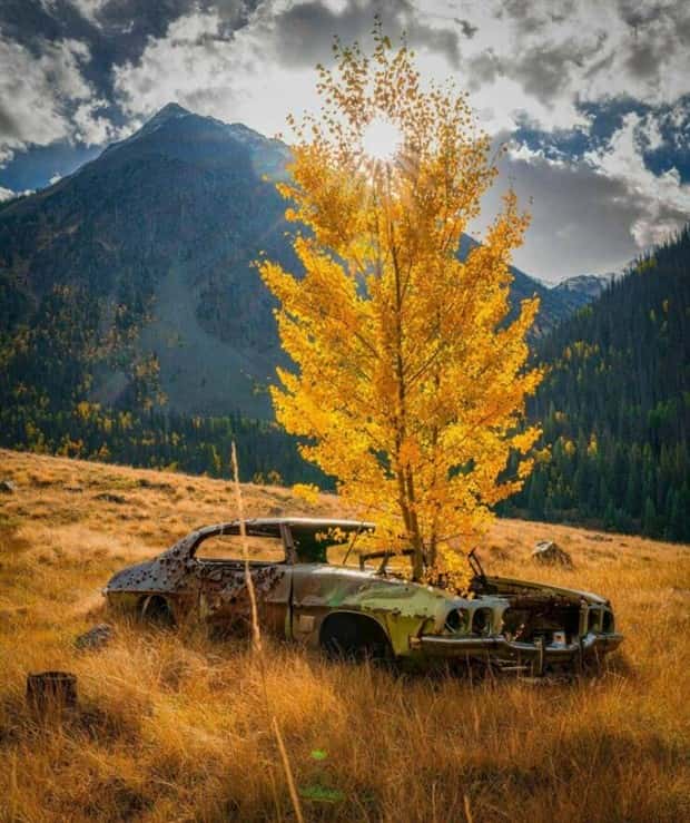 awesome pics 6 1 Awesome Pictures You Shouldn’t Miss #209 (21 photos)