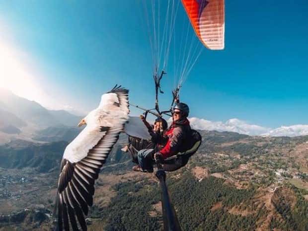 Awesome Pictures You Shouldn’t Miss #211 (23 photos)