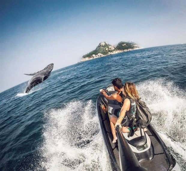 awesome pics 7 1 Awesome Pictures You Shouldn’t Miss #209 (21 photos)