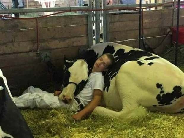 awesome pictures 16 Awesome Pictures You Shouldn’t Miss #210 (23 photos)