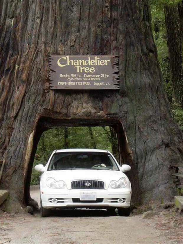 awesome pictures 19 Awesome Pictures You Shouldn’t Miss #210 (23 photos)