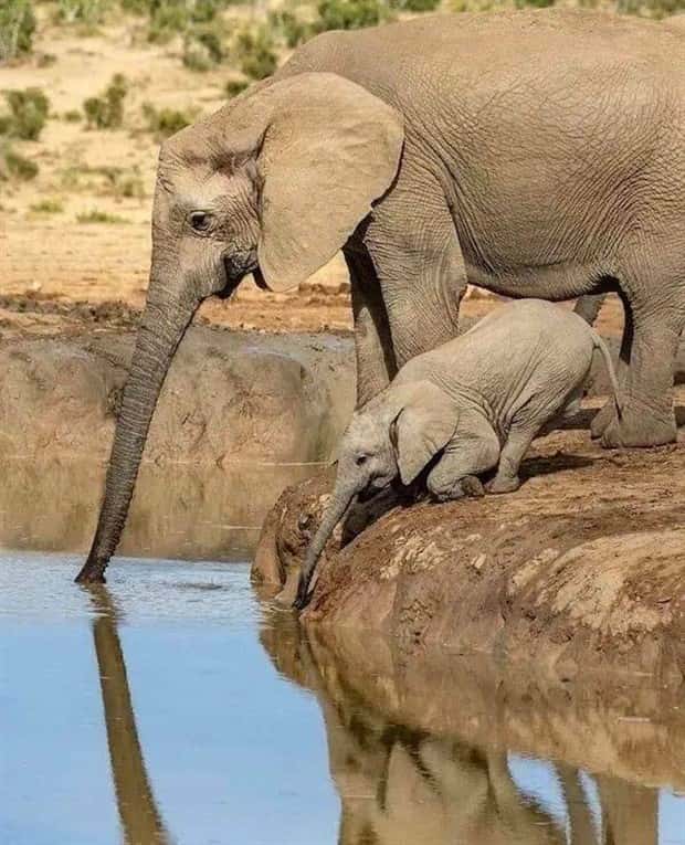 awesome pictures 21 Awesome Pictures You Shouldn’t Miss #210 (23 photos)