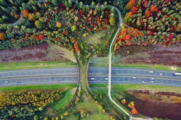 awesome pictures 9 Awesome Pictures You Shouldn’t Miss #210 (23 photos)