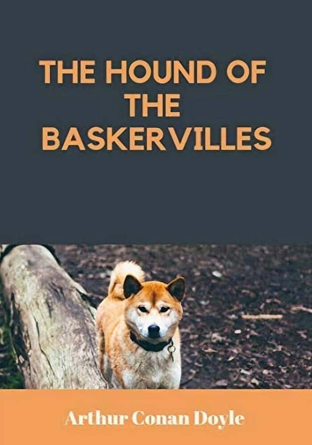 bad book covers 1 Bad Book Covers That Raise Questions (21 photos)