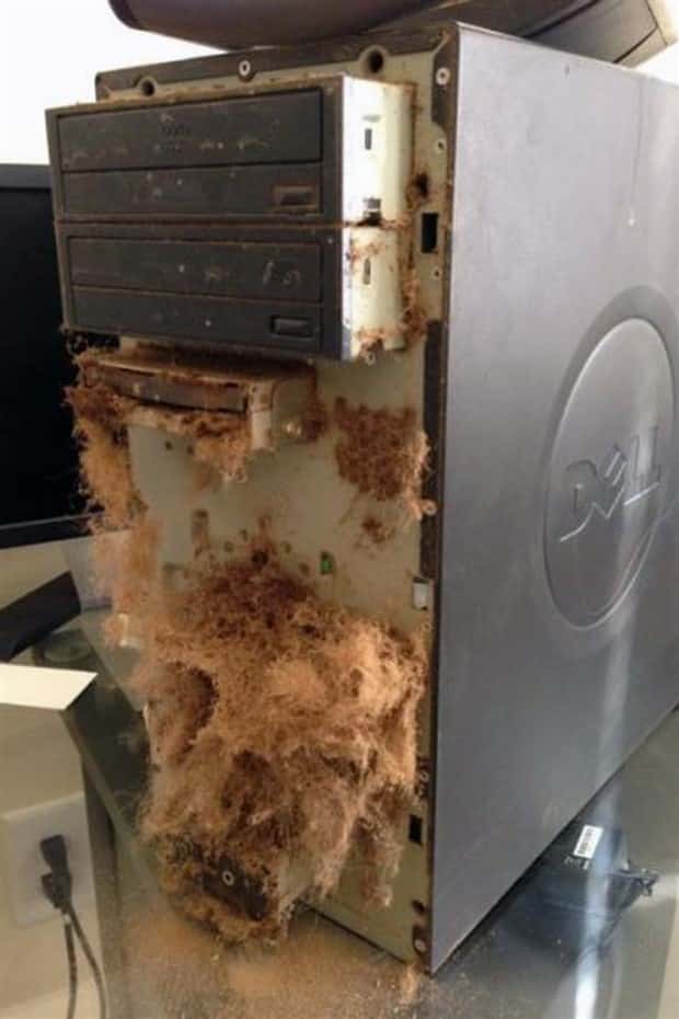 Computers Broken Beyond All Hope Repair (39 photos)