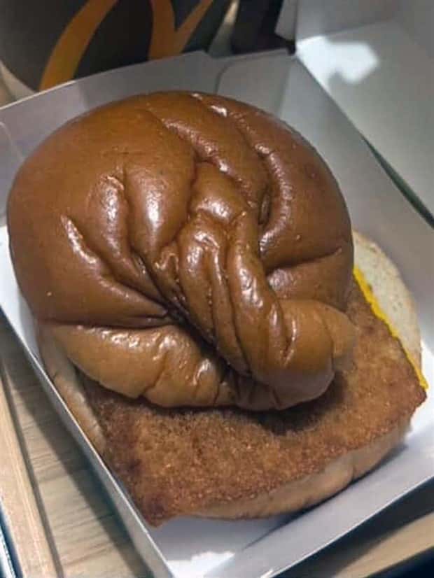burger fails 27 27 Burgers That Turned Dinner Into A Mystery (27 photos)
