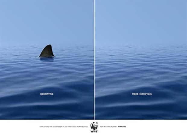 Advertising Ideas Done Right (30 photos)