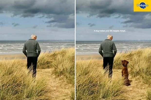 Advertising Ideas Done Right (30 photos)