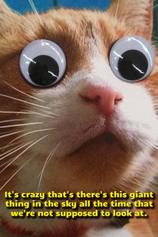 Funny Shower Thoughts That Sound Smart #209 (19 photos)