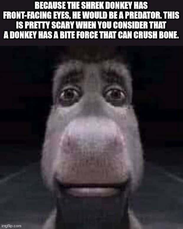 Funny Shower Thoughts That Sound Smart #209 (19 photos)