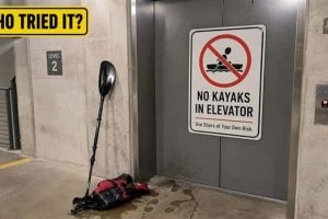 Crazy Signs That Took Warnings Too Far (19 photos)