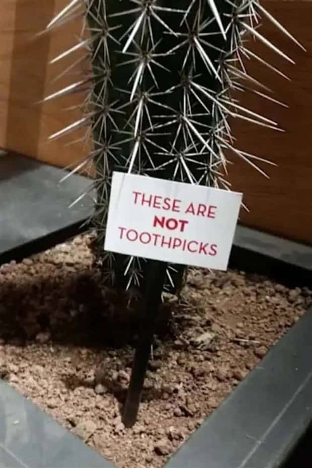 crazy warning signs 12 Crazy Signs That Took Warnings Too Far (19 photos)