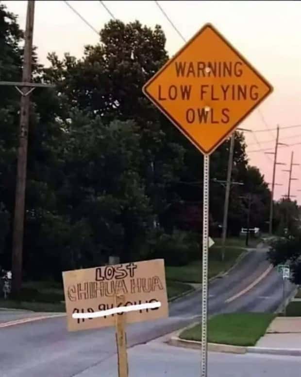 crazy warning signs 14 Crazy Signs That Took Warnings Too Far (19 photos)