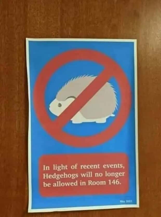 crazy warning signs 17 Crazy Signs That Took Warnings Too Far (19 photos)